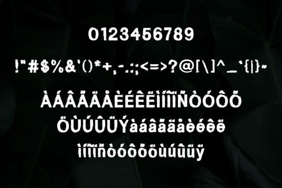 Parizaad Font PNG with transparent background - Preview 1