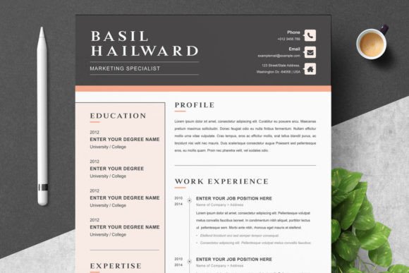 Word Clean Resume Template