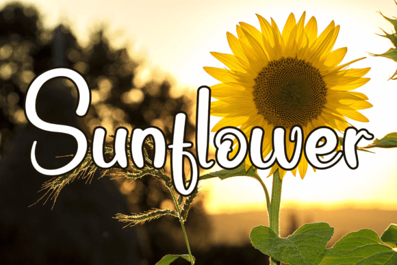 Hello Sunshine Font - Preview 1