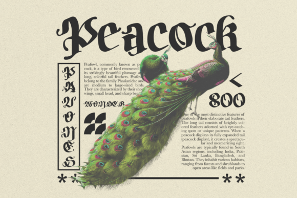 Bodywork Font - Preview 2