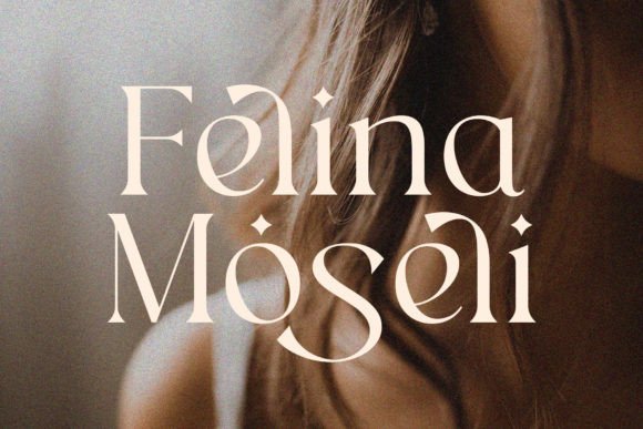 Agina Font Font - Preview 5