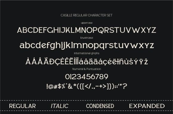 Casille Font - Preview 4