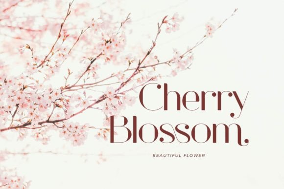 Chadita Font - Preview 1