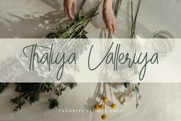 Rhosalia Signature Font PNG with transparent background - Preview 4