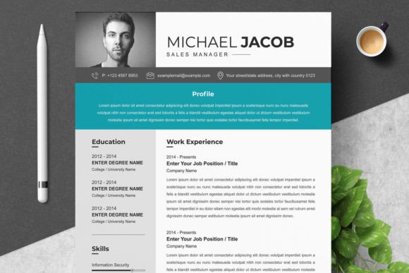 Sales Manager Resume Template Format