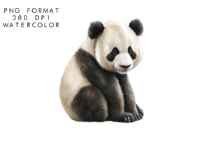 Watercolor Cute Panda Clipart Graphic by WatercolorByKr · Creative Fabrica
