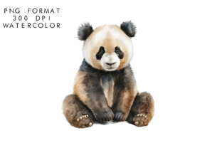 Watercolor Cute Panda Clipart Graphic by WatercolorByKr · Creative Fabrica