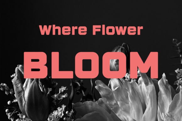 Brigotte Font - Preview 4