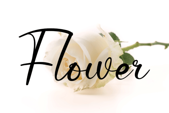 Hello Carolina Font - Preview 3