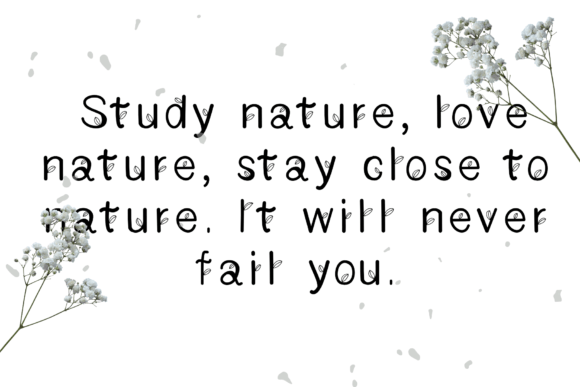 Leafy Font PNG with transparent background - Preview 2