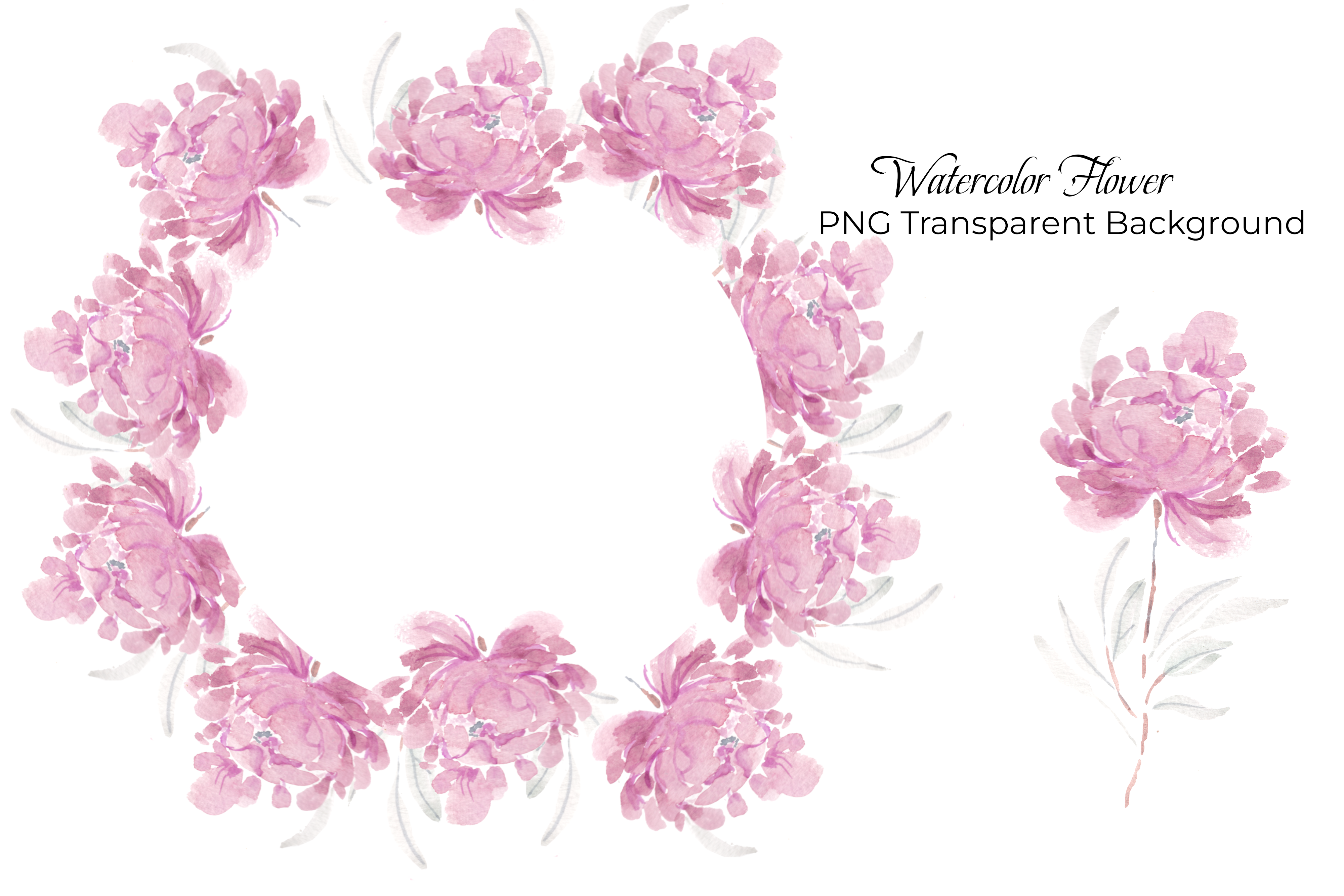 Purple Peony Watercolor Flower Graphic by Choirun Nisa · Creative Fabrica