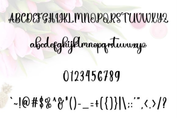 Airplane Font - Preview 6