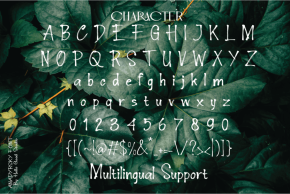 Anadyrsky Font - Preview 5