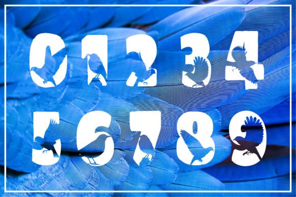 Bird Font - Preview 2