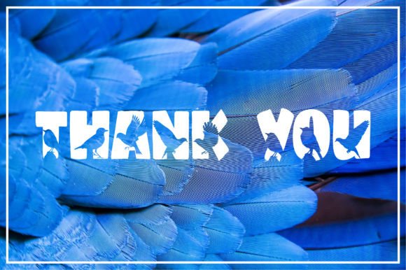 Bird Font - Preview 3