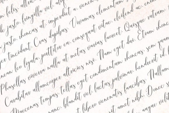 Bretallia Font - Preview 3
