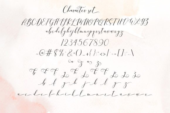 Bretallia Font - Preview 4