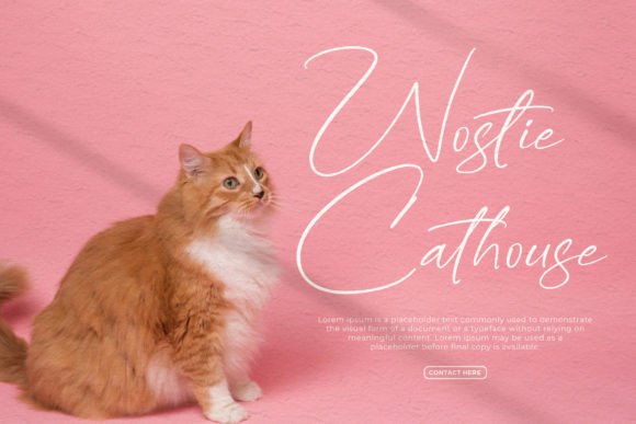 Callestany Font PNG with transparent background - Preview 5