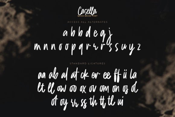 Cassella Font - Preview 6