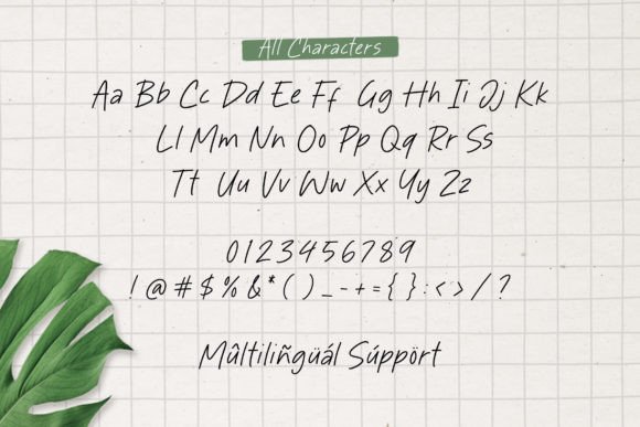 Delight Paradise Font - Preview 5