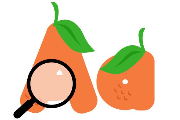 Orange You Glad Font PNG with transparent background - Preview 1