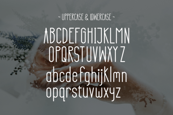 Renita Font PNG with transparent background - Preview 5