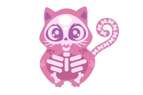 Cat Skeleton