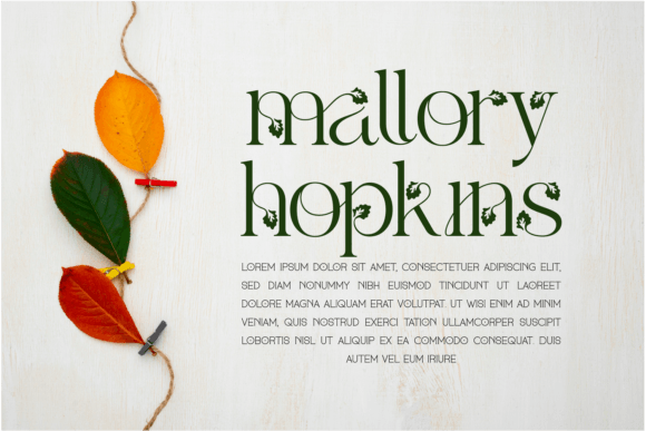 Alketa Nature Font - Preview 1