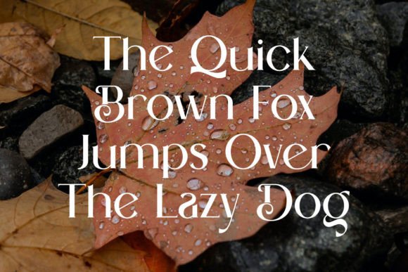 Bilend Font - Preview 3