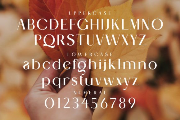 Bilend Font - Preview 6