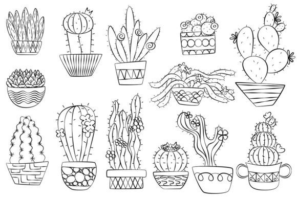Cactus And Succulents Vectors Hand Drawn Graphics