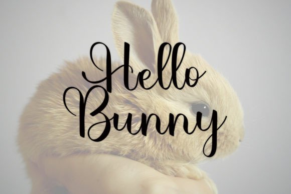 Dolly Font - Preview 2