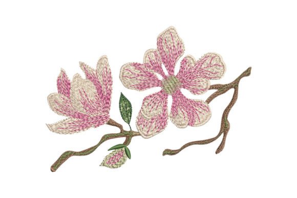 Magnolia Flowers
