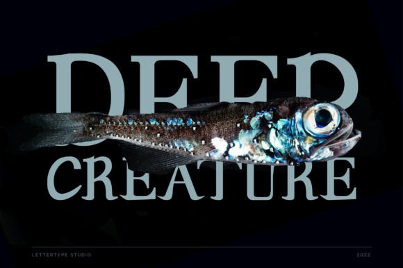 Andaman Font - Preview 6