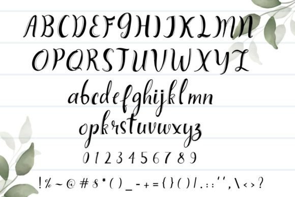 Mohn Font PNG with transparent background - Preview 2