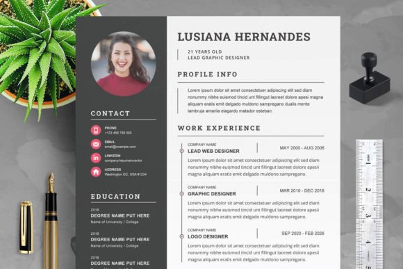 Professional Resume Template MS Word
