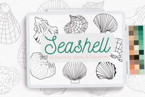 Seashell Stamps for Procreate
