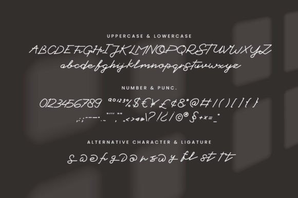 Kingston Script Font - Preview 1