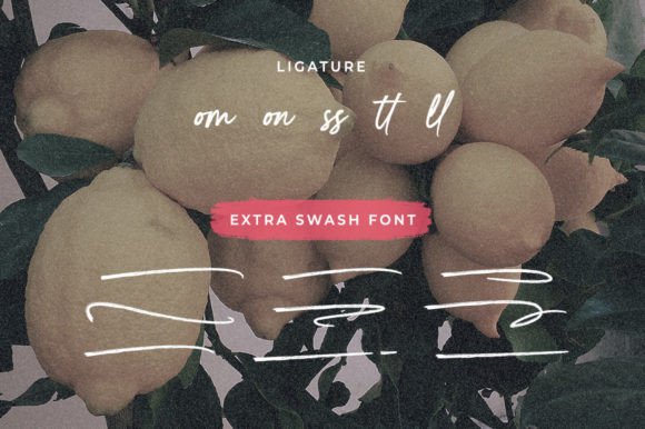 Billion Brush Font - Preview 6