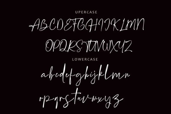 Anthes Font - Preview 3