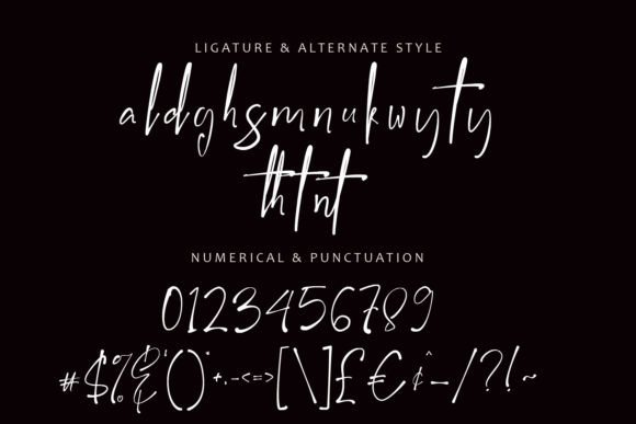 Anthes Font - Preview 4