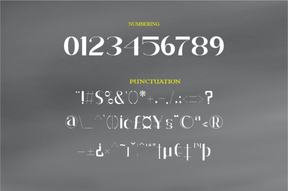 Aurelia Font - Preview 4