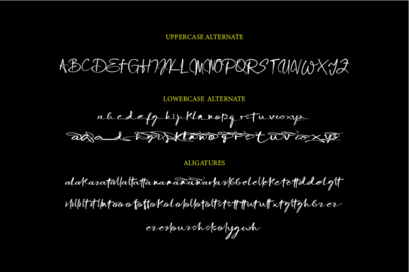Birmingham Font - Preview 2