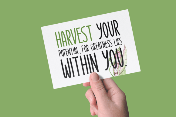Harvest Joy Font PNG with transparent background - Preview 3