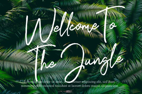 Hogie Rough Font - Preview 1