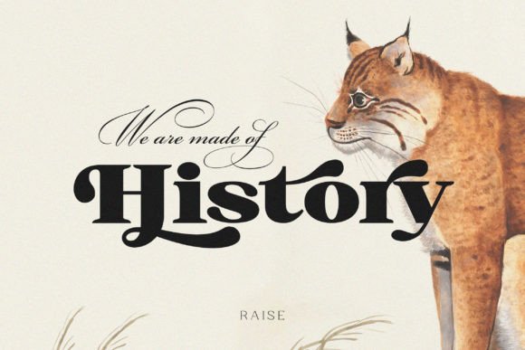 Raise Font PNG with transparent background - Preview 1
