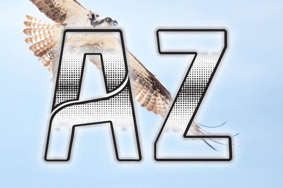 Hawk Font - Preview 2