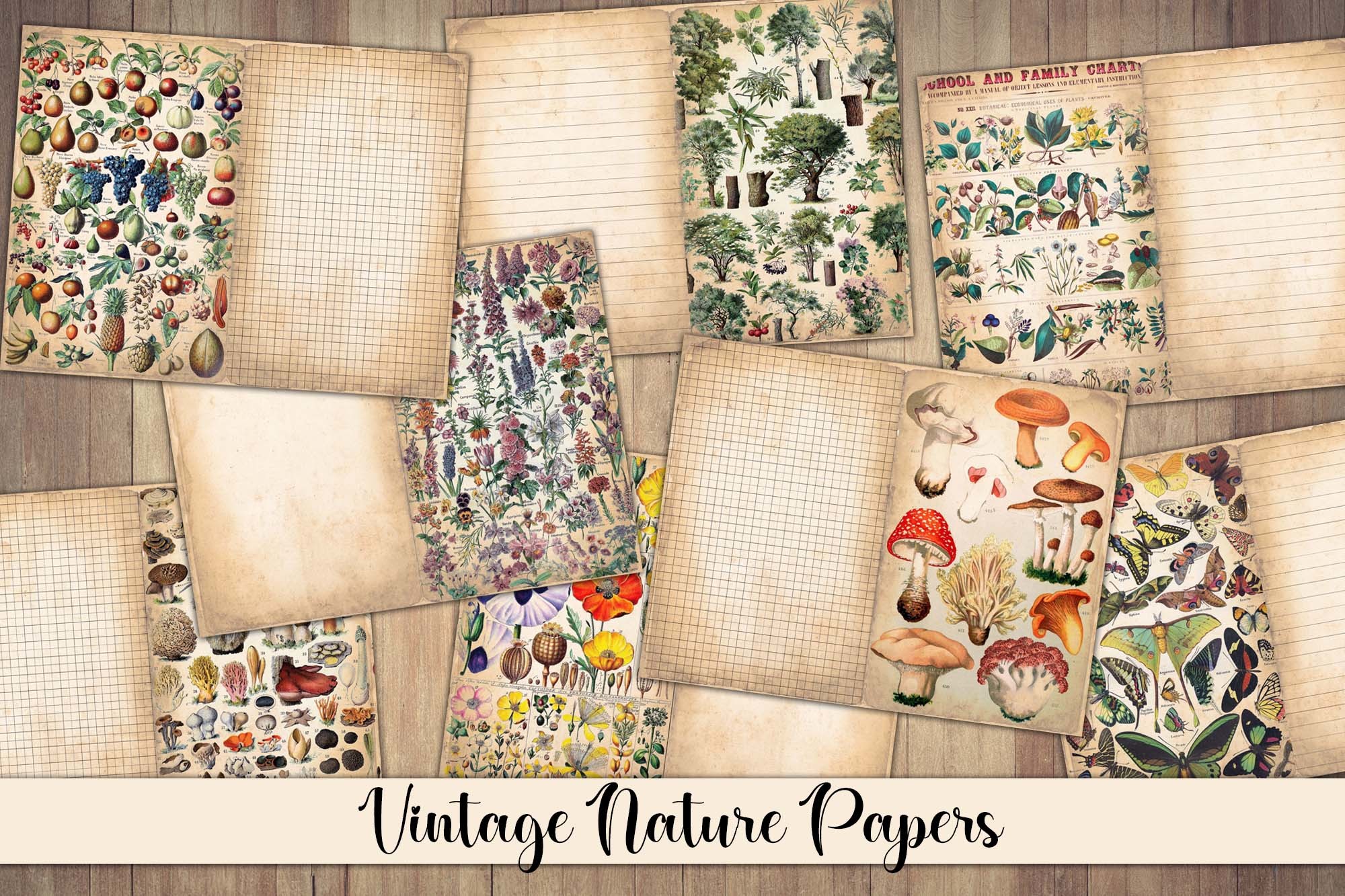 Vintage Botanical Junk Journal Paper