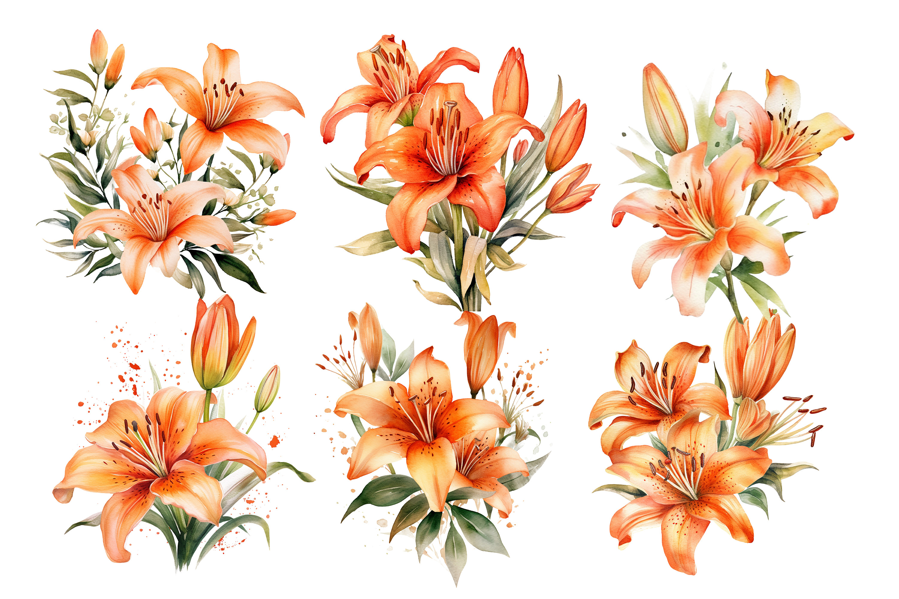 Watercolor Orange Lily Flower Clipart Graphic by Nayem Khan  Creative  Fabrica