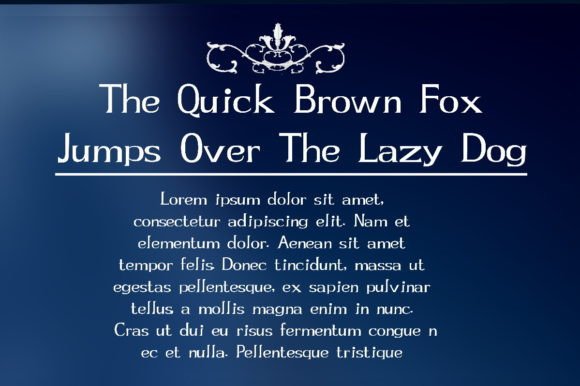 Berdicon Font - Preview 2
